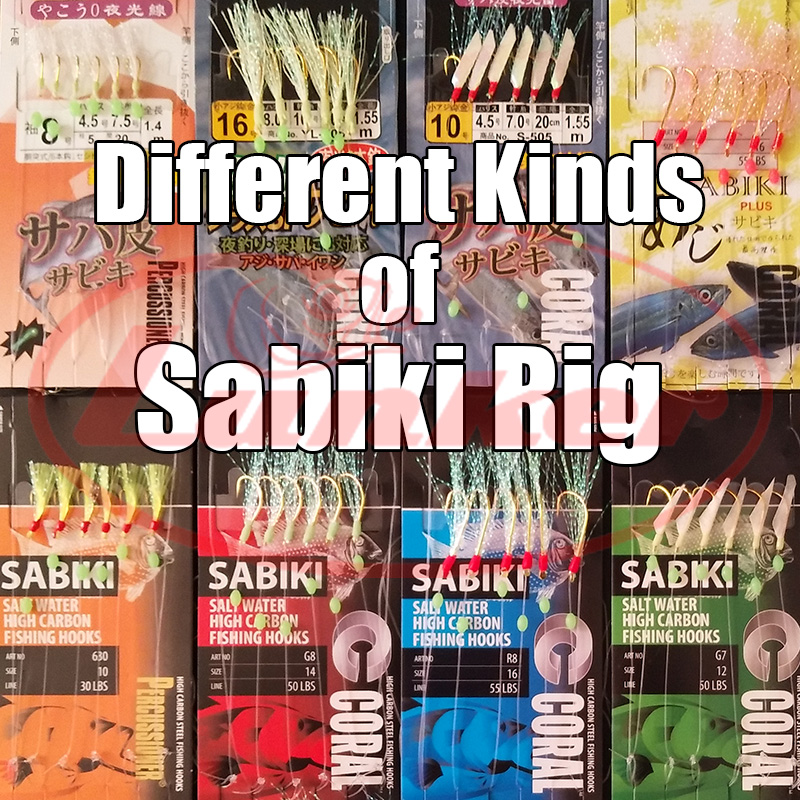Lunker sabiki rig hooks lumino - đánh giá và giá Fishing Equipment Parts